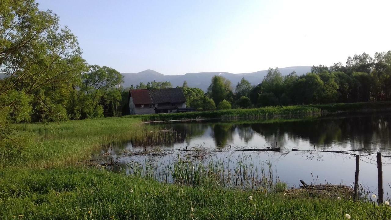 Homestay Sloneczko